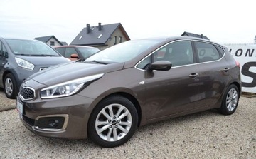 Kia Ceed II Hatchback 5d Facelifting 1.6 GDI 135KM 2018 Kia Ceed 1.6 - BEZWYPADKOWY - Bogata wersja - tuv 2027 - Super Stan 1.6, zdjęcie 12