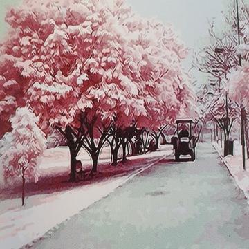 HAFT DIAMENTOWY OBRAZ MOZAIKA PARK TRAKTOR ALEJA DRZEW 30X30 CM