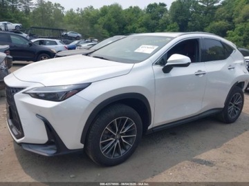 Lexus NX II 2025 Lexus NX 2025r., 4x4, 2.5L 2.5 Hybryda 240KM, zdjęcie 5