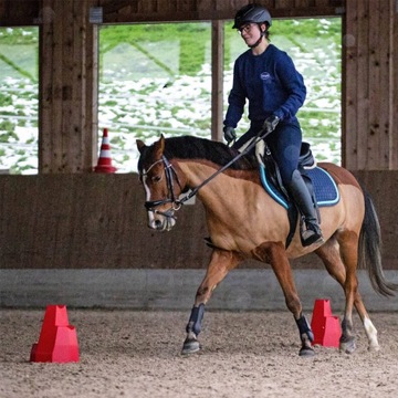 СТОЙКА ДЛЯ ПРЕПЯТСТВИЙ CAVALETTI YORK HORSE Pylonetti 3 уровня