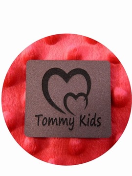 Вставка для гондолы TOMMY KIDS, поролоновый матрас, чехол и подушка.
