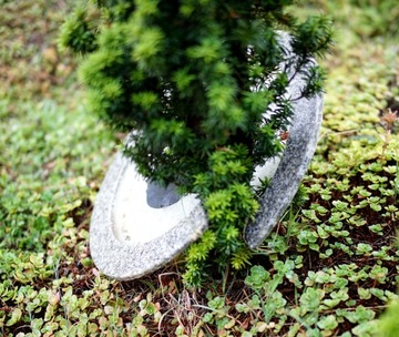 Obrzeża trawnikowe do drzewek innoVal- śr. 40cm