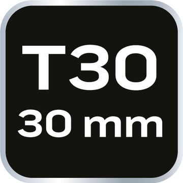 Бита TORX T30 x 30 мм, S2 x 2 шт., NEO 10-920