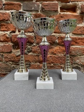 Zestaw puchar metalowy srebrno-fioletowy 9273A-C, grawer gratis!!!
