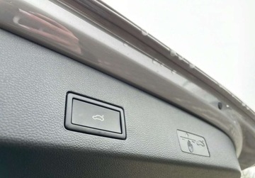 Volkswagen Golf VIII 2025 Volkswagen Golf Life Plus 1.5 eTSI 150 KM DSG 1.5 Benzyna 116KM, zdjęcie 22