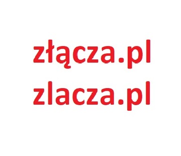 dwie domeny złącza.pl zlacza.pl