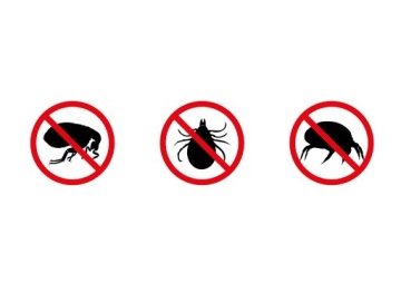 УЛЬТРАЗВУКОВАЯ ЗАЩИТА ОТ КЛЕЩЕЙ ДЛЯ ДЕТЕЙ БЕСЩЕКОТНЫЙ КИД бежевый