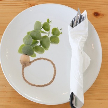 Кольцо для салфеток Декор летнего стола Искусственный эвкалипт