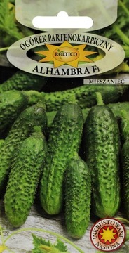 Ogórek partenokarpiczny Alhambra F1 mieszaniec wczesny nasiona 2g