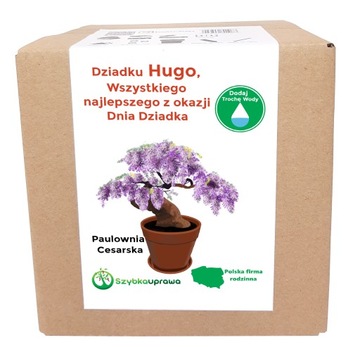Zestaw BONSAI paulownia Dzień Dziadka Hugo