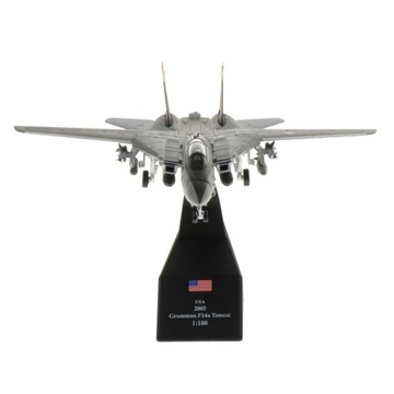 1: 100 Skala F 14 Samolot Myśliwski Model