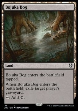 Karta Magic: Bojuka Bog