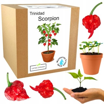 Zestaw do Uprawy papryka Trinidad Moruga Scorpion