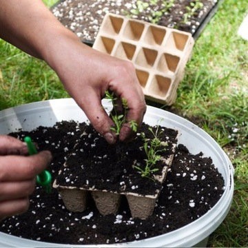 ТОРФЯНОЙ ГОРШОК ДЛЯ ПОСАДОВ ПОДДОН ДЛЯ ПОСАДОВ 12 ГОРШКОВ