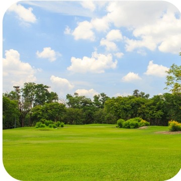 Fructus Antymech 25кг Удобрение для газонов и трав С ВЫСОКИМ СОДЕРЖАНИЕМ ЖЕЛЕЗА