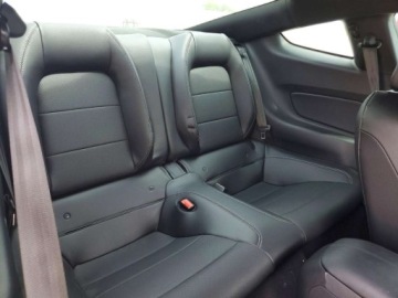 Ford Mustang VI 2020 Ford Mustang Gt 2020 5.0 Benzyna 460KM, zdjęcie 10