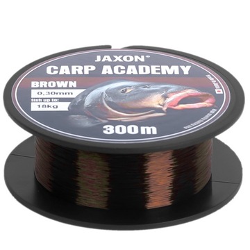 НАБОР CARP Удилище + катушка TOP CARP Jaxon