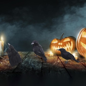 Хэллоуин Ворона Реалистичные украшения Хэллоуина Птицы Искусственная комбинация