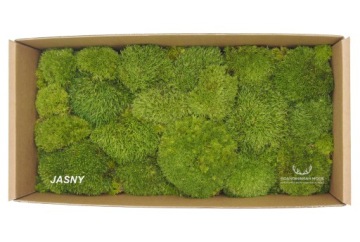 Шведский подушкообразный мох 130г НЕТТО