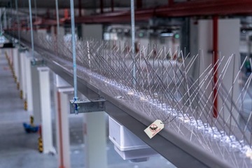 САМЫЕ ТОЛСТЫЕ ПРОЧНЫЕ ШИПЫ ДЛЯ ПТИЦ, НЕРЖАВЕЮЩИЕ ШИПЫ ДЛЯ ГОЛУБИ НЕРЖАВЕЮЩИХ ПРЯМО ИЗ ПОЛЬШИ