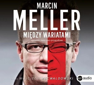 Między wariatami Marcin Meller