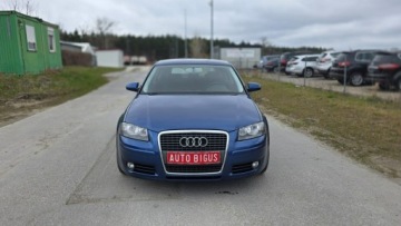 Audi A3 8P Hatchback 3d 1.4 TFSI 125KM 2008 Audi A3 3-drzwiowe climatronic zarejestrowane, zdjęcie 1