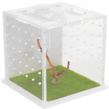 Jumping Spider Box Контейнер для разведения улиток.