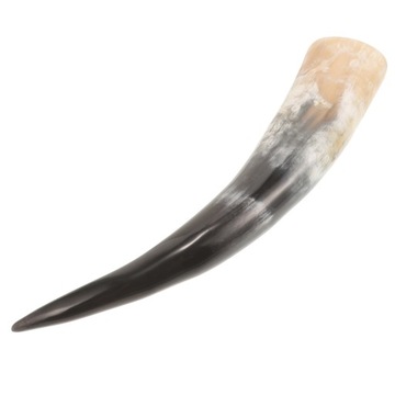 CHRISTMAS LINGERIE Роговый настенный светильник BULL HORN