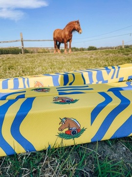 HorseMania - пенопластовые палки, сейф, медикаменты, 3 шт 3,3мх5.