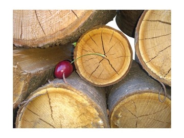 Дрова для костра и камина-гриля ТОПЛИВО для садовой печи-оча.