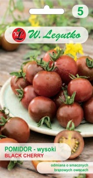 Pomidor BLACK CHERRY ciemny grunt i szklarnia