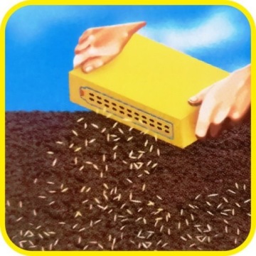 Трава Barenbrug WATER SAVER Dry Strong — Семена O