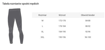 SPAIO BREEZE МУЖСКИЕ ТЕРМОАКТИВНЫЕ ЛЕГИНГИ НА ЛЕТ ЧЕРНЫЕ/СЕРЫЕ L