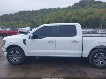 Ford 2023 Ford F150 XL 2023 5.0L 5.0 Benzyna 400KM, zdjęcie 2