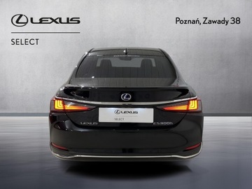 Lexus ES VII (XV70) Sedan 300h 218KM 2019 Lexus ES 300h Business Edition Lexus ES 300h Busin, zdjęcie 6