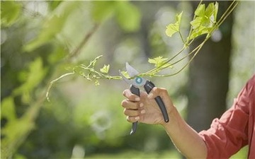 СРЕДСТВА ПРЕДОТВРАЩЕНИЯ ДЛЯ САДОВ ECOLINE B/S-M 12210-20 GARDENA