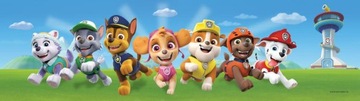 Border PAW Psi Patrol 5m/10cm pasek dekoracyjny