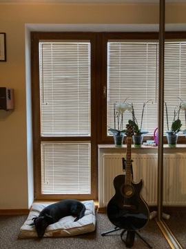 Деревянные бамбуковые жалюзи для оконных штор по индивидуальному заказу, 25 мм, ПРОИЗВОДИТЕЛЬ