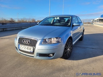 Audi A3 8P Hatchback 3d 1.6 102KM 2007 Audi A3 3-drzwiowe 1.6 MPi nowe opony Serwis Bezwypadkowy 1.6 Benzyna 102KM, zdjęcie 1