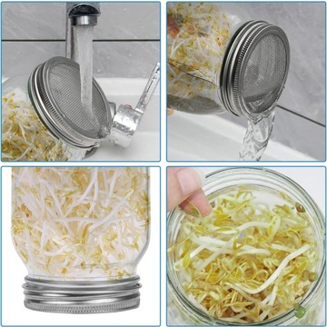 Банка для проращивания Банка для проращивания семян, ростков