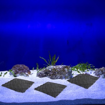 Пластиковый поднос для черных присосок Fish Tank