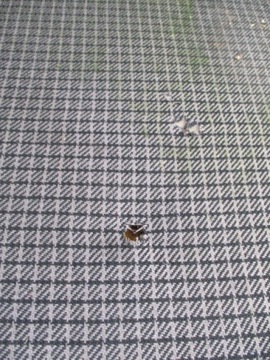 VW TRANSPORTER T3 SEDADLO LEVÝ PŘEDNÍ ŘIDIČE