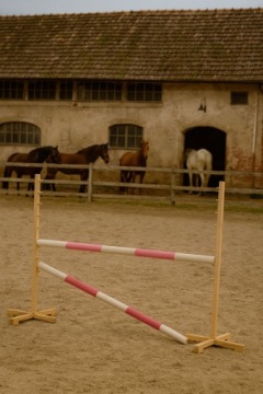 Перешкода для стрибків для Hobby Horse 120 см, дві колоди - світло-рожевий і темний рожевий