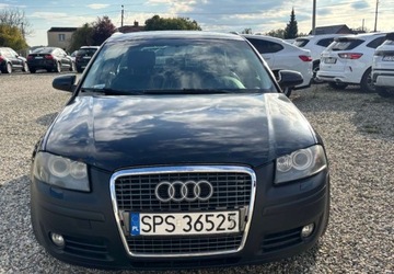 Audi A3 8P Hatchback 3d 2.0 TDI PD 140KM 2006 Audi A3 Sportback 2006 r. 2.0 Diesel 140KM, zdjęcie 8