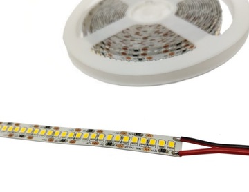 TAŚMA 1200 LED 2835 IP20 1m biała zimna 240/1m MAX