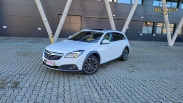 Opel Insignia I Country Tourer 1.6 CDTI Ecotec 136KM 2015 Opel Insignia 1.6CDTI CountryT Oryginal 198Tkm..., zdjęcie 16