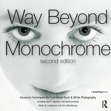 Way Beyond Monochrome 2e RALPH LAMBRECHT