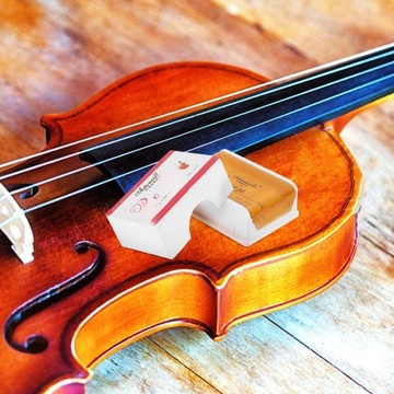 МУЗЫКАЛЬНЫЕ ИНСТРУМЕНТЫ СКРИПКА ЭРХУ