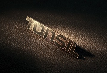 Замена логотипа TONSIL. 61 х 11 мм