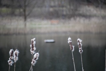 Супер Такумар 85 1,9